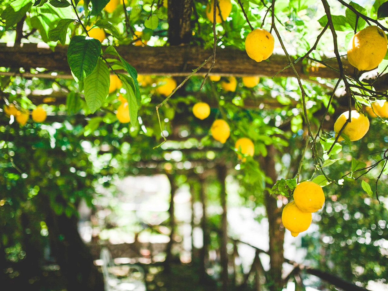 Il Sentiero dei limoni - Travel Amalfi Coast by Travelmar